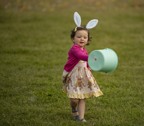 2-year-old Anniston Chappel wears her bunny ears and holds onto her basket as she gets ready to hunt for eggs during the City of Taylor's Easter Egg Hunt held Saturday, March 30, 2024 at Taylor's Memorial Stadium on Davis Street.